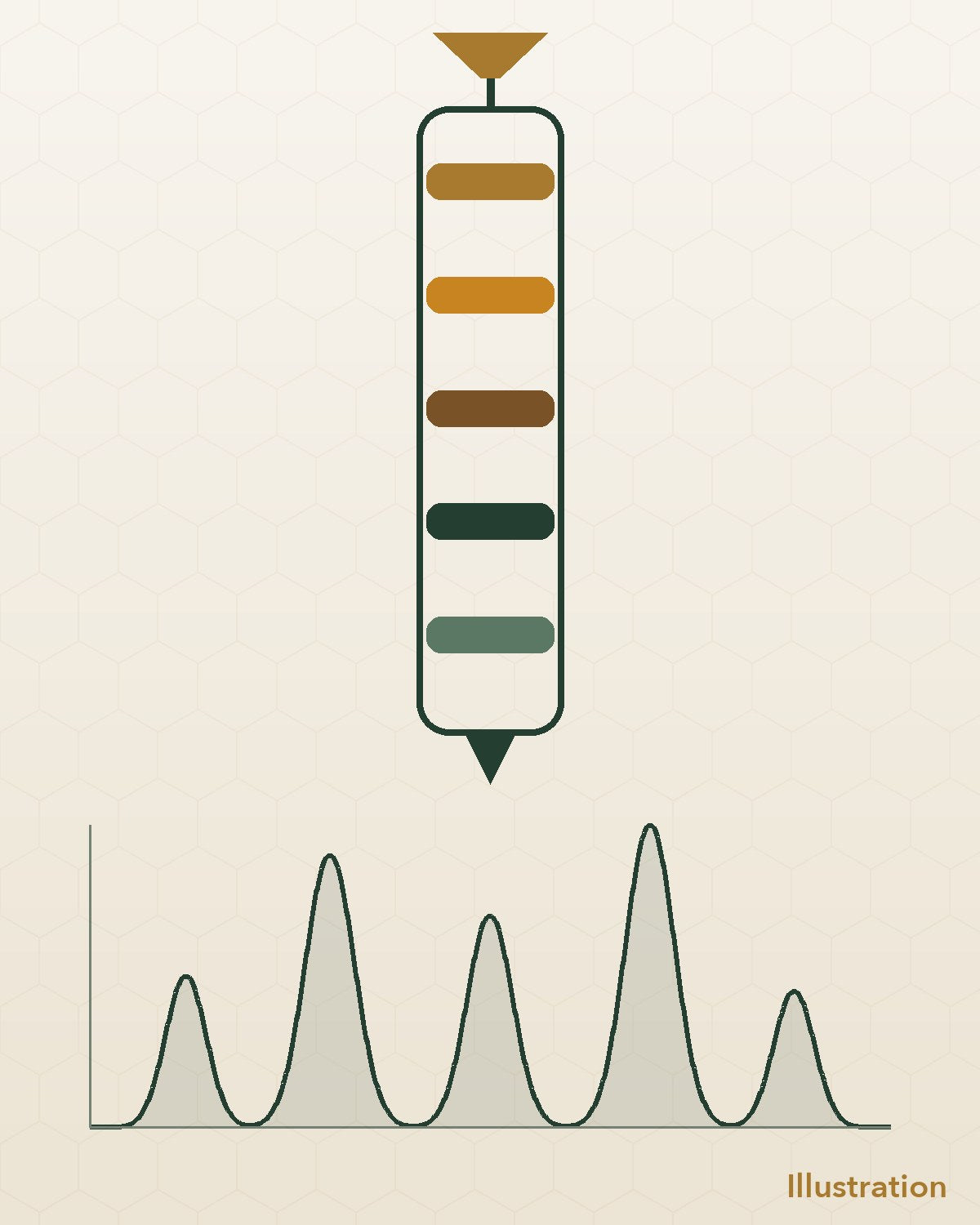 Illustration of liquid chromatography separating a sample into bands