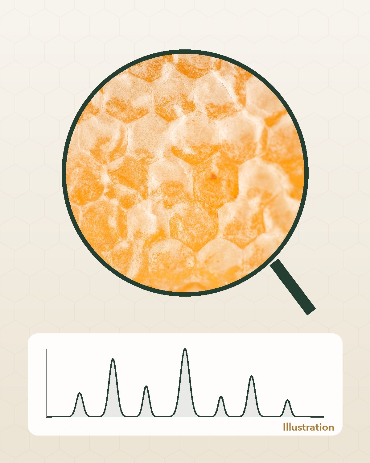 Honeycomb under a magnifying glass with an illustrated chart