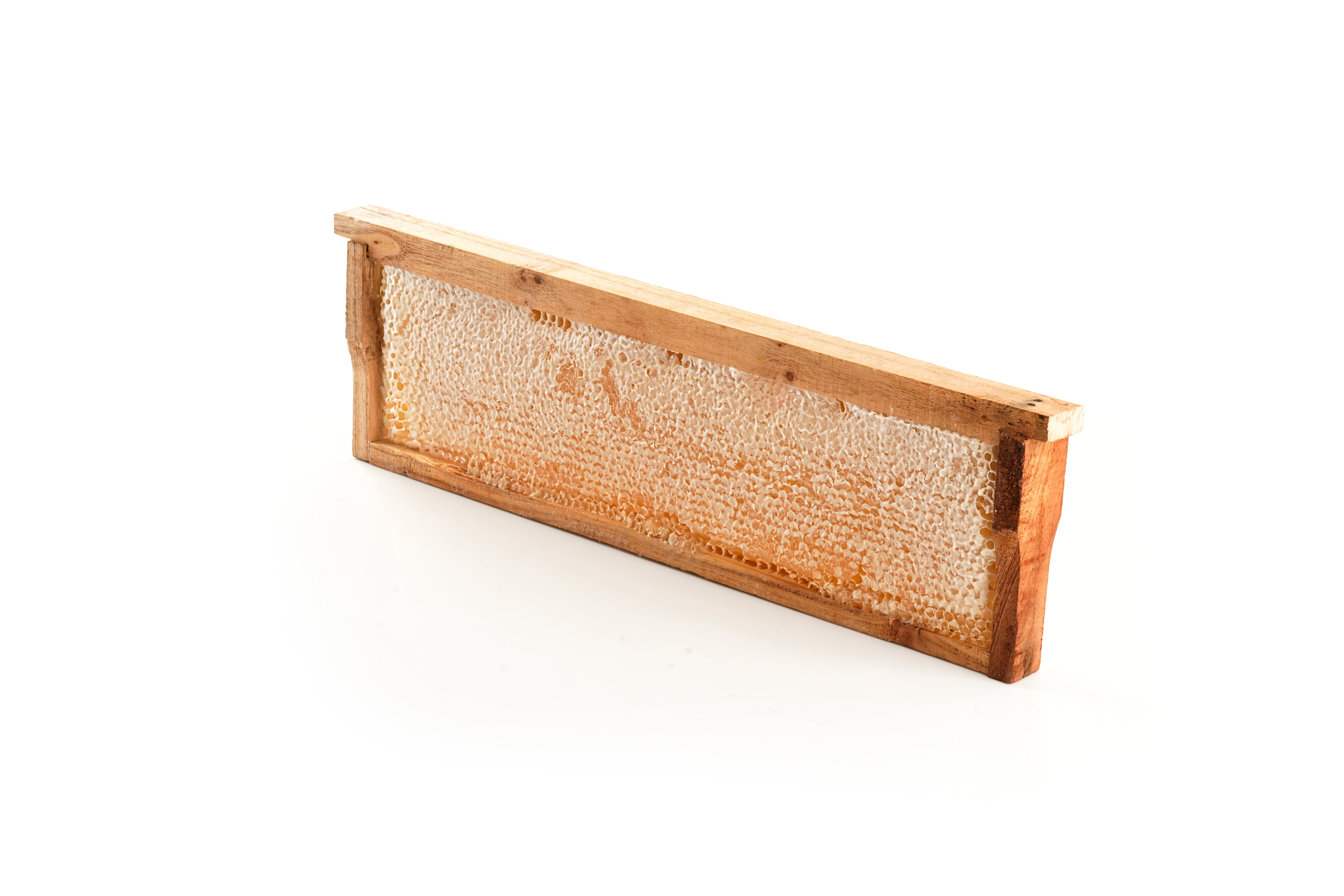 raw honey comb