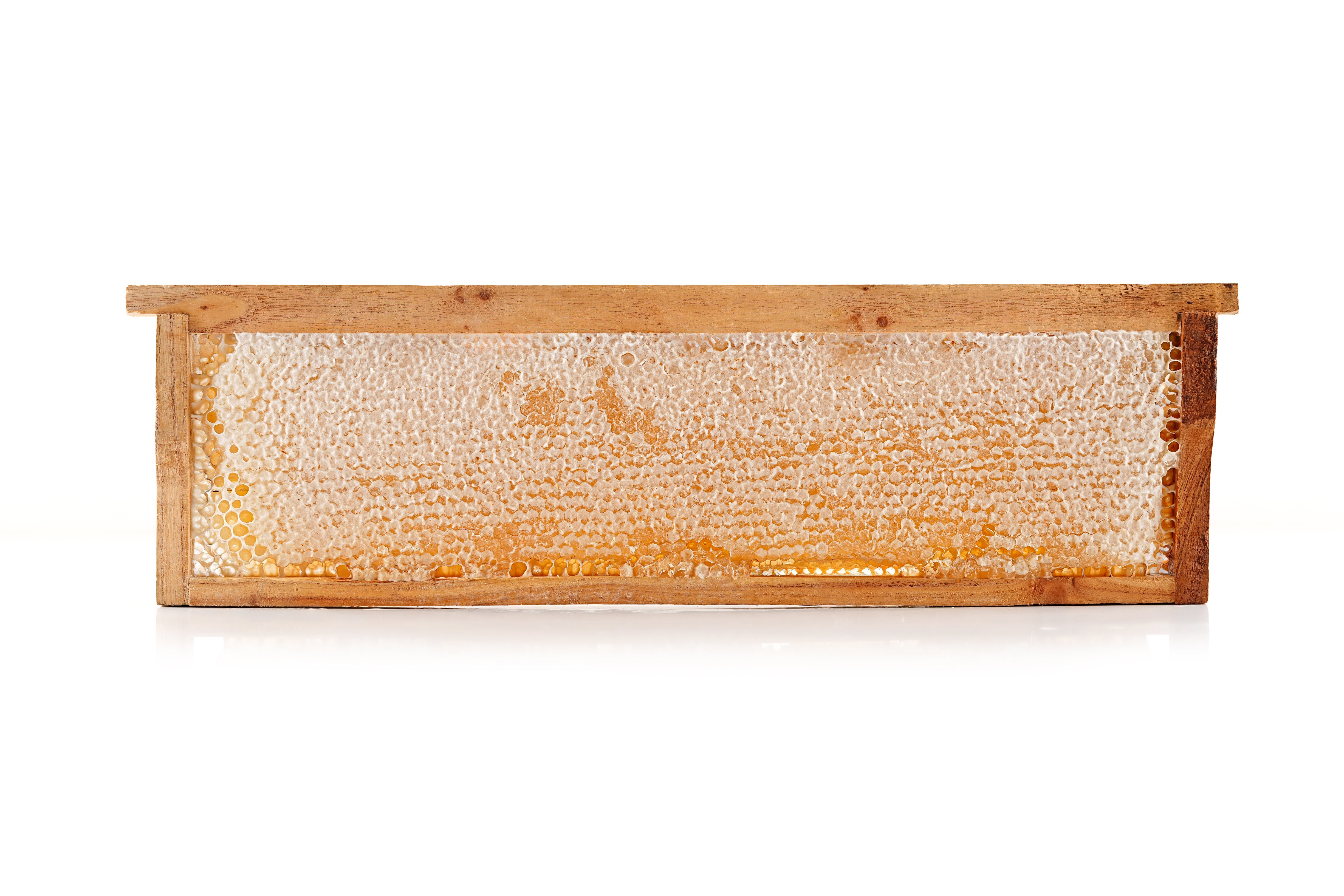 Comb Honey