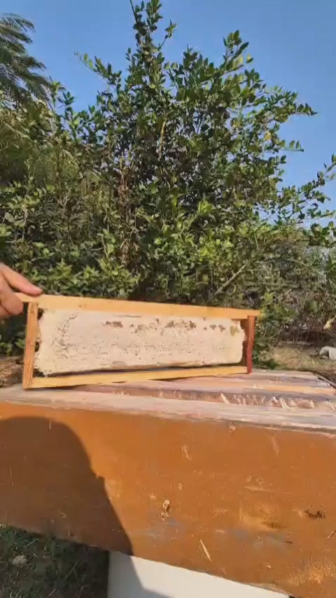 raw honeycomb video