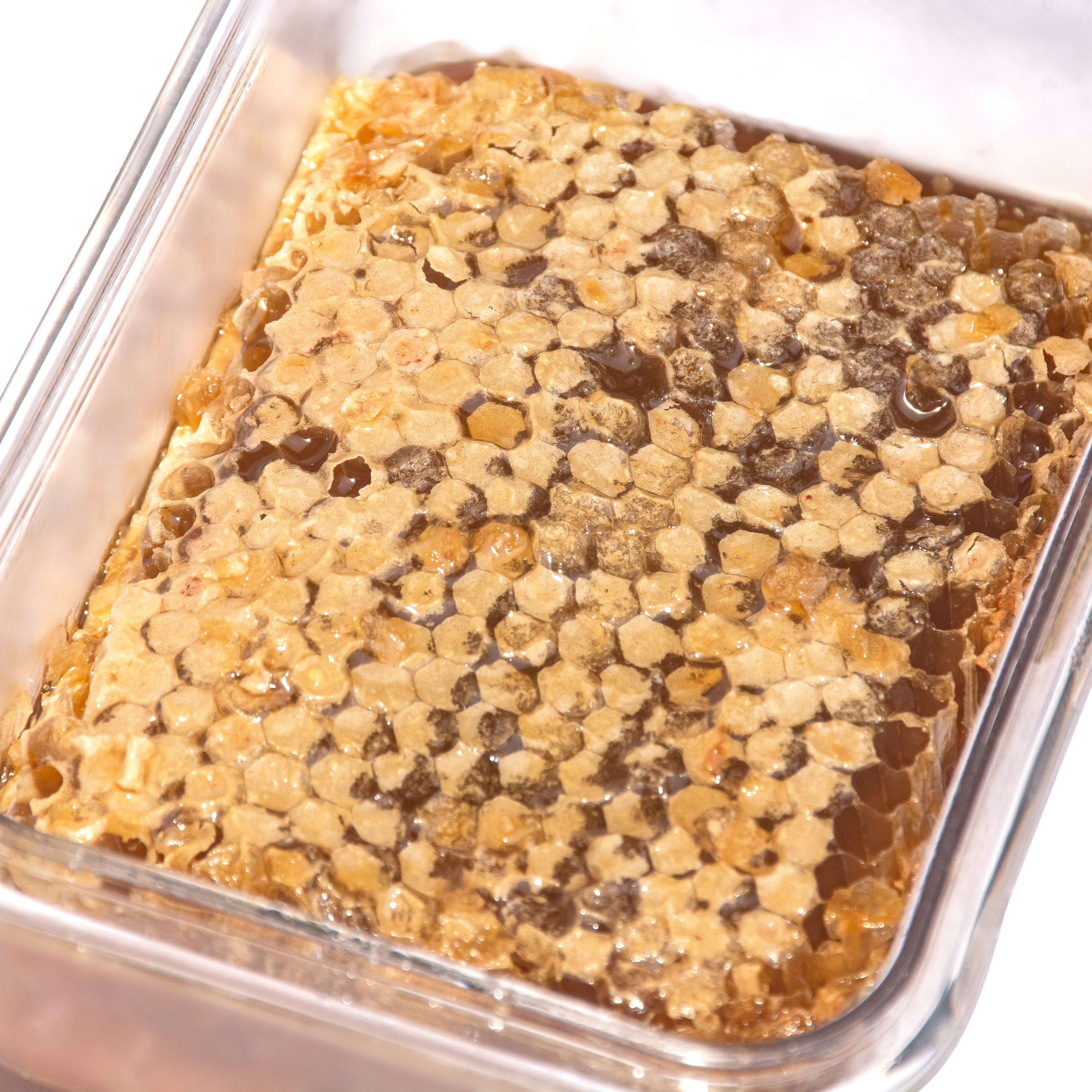 pure honey comb