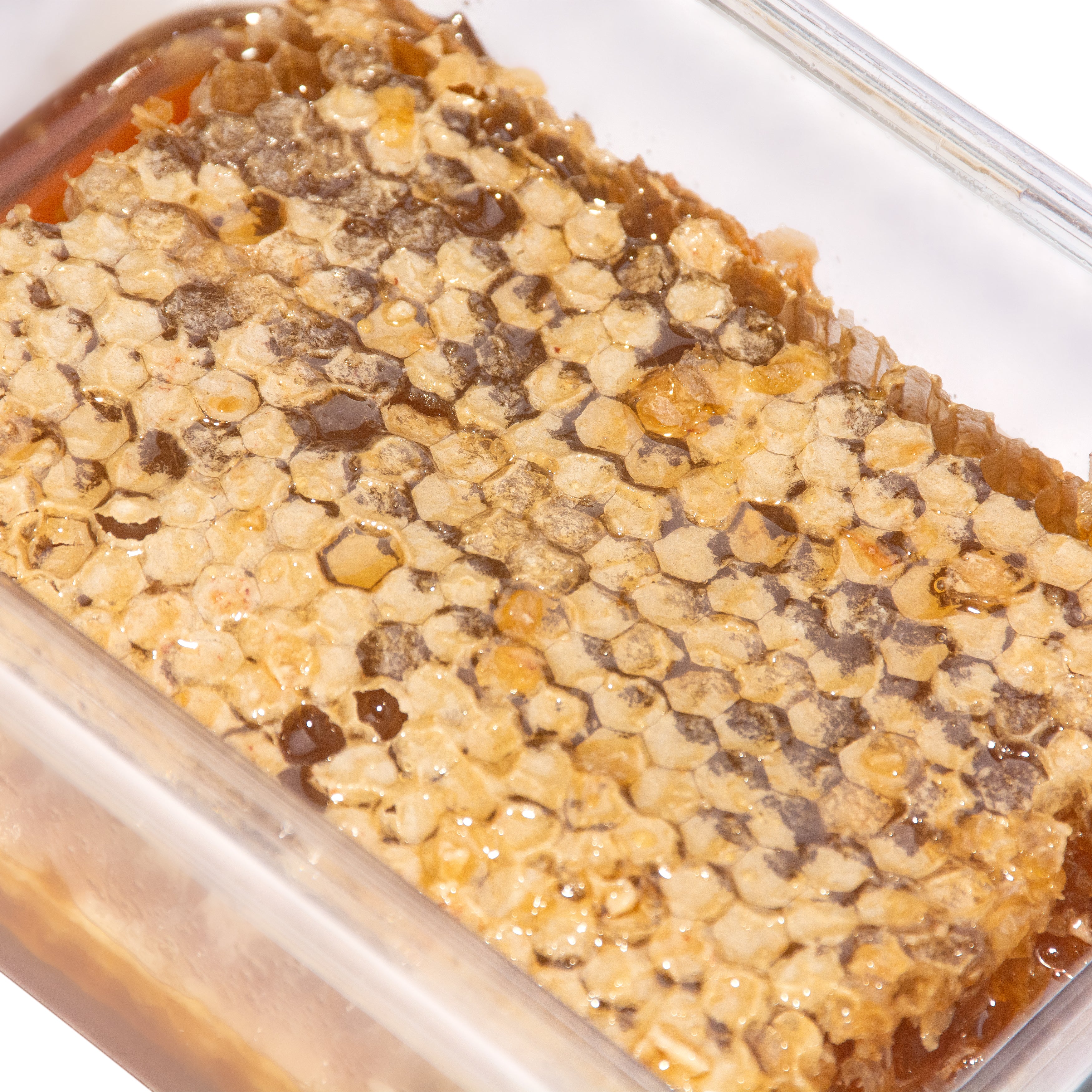 pure unprocess honeycomb